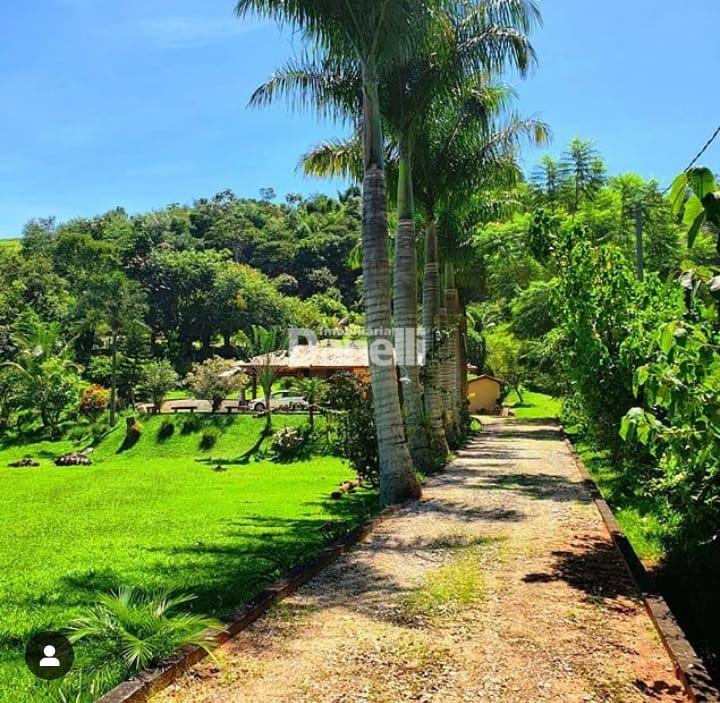 Sítio à venda no Ribeirão das Almas: 