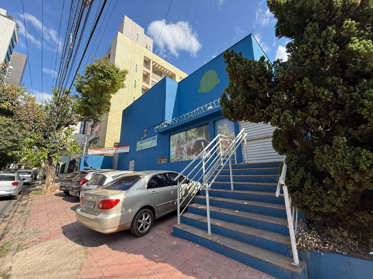 Casa comercial para aluguel no Carmo: 