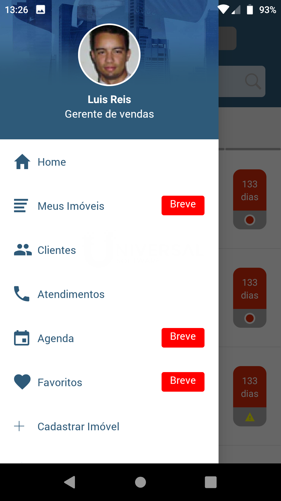 [Tipo] Nossa Senhora de Fátima: 