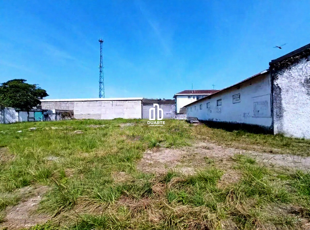 Terreno para aluguel no VILA MATHIAS: 