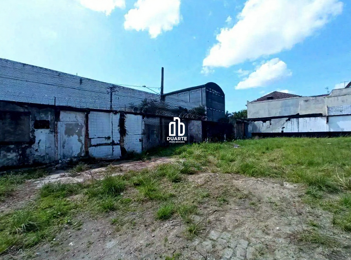 Terreno para aluguel no VILA MATHIAS: 