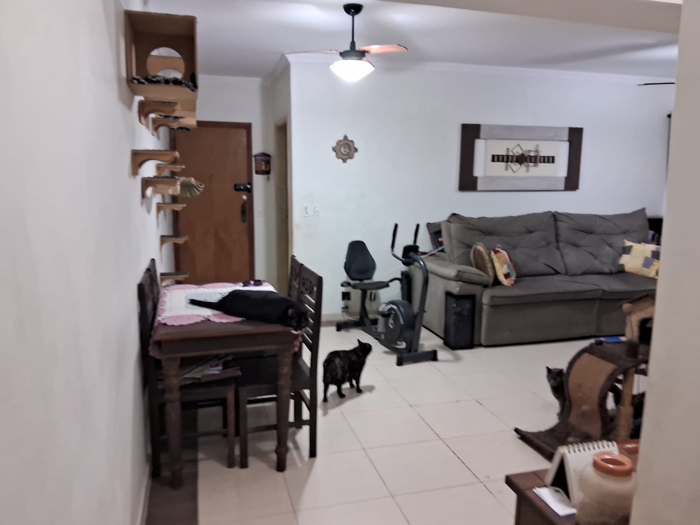 Apartamento à venda no Pompéia: 