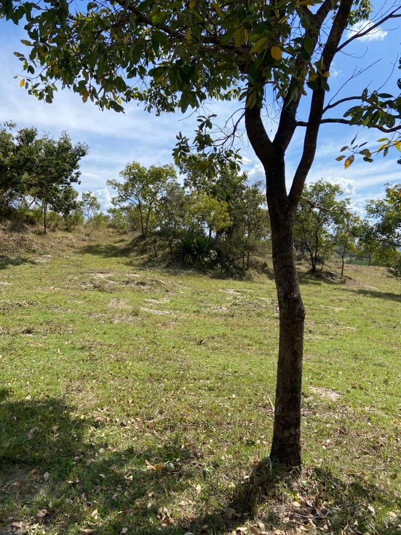 Terreno, 1000 m² - Foto 10