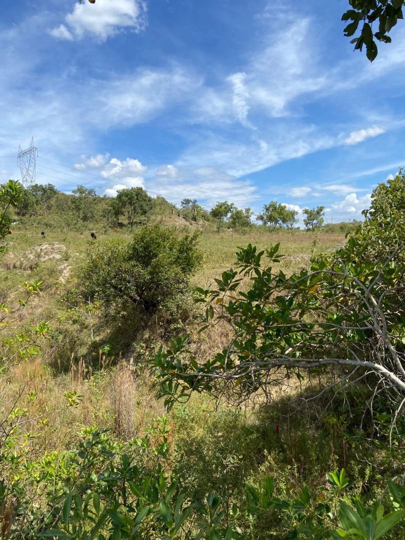 Terreno, 1000 m² - Foto 3