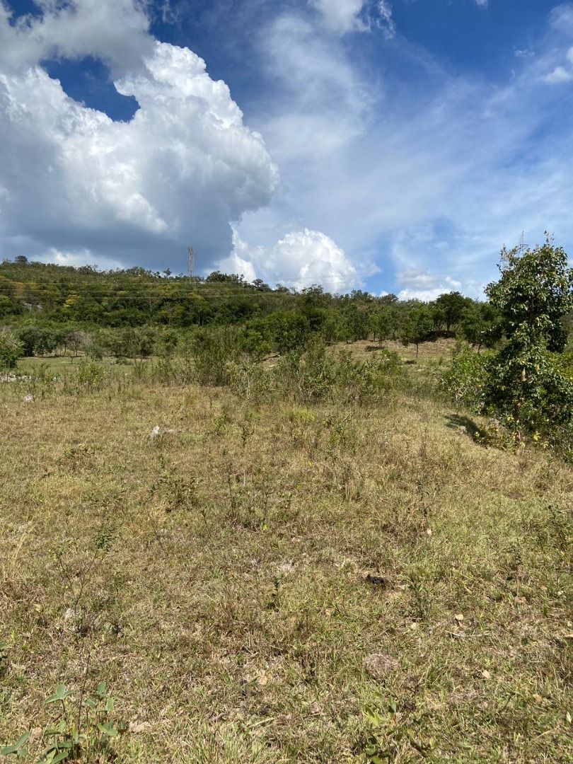 Terreno, 1000 m² - Foto 14