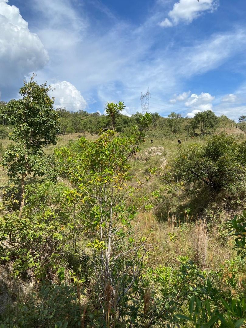 Terreno, 1000 m² - Foto 5