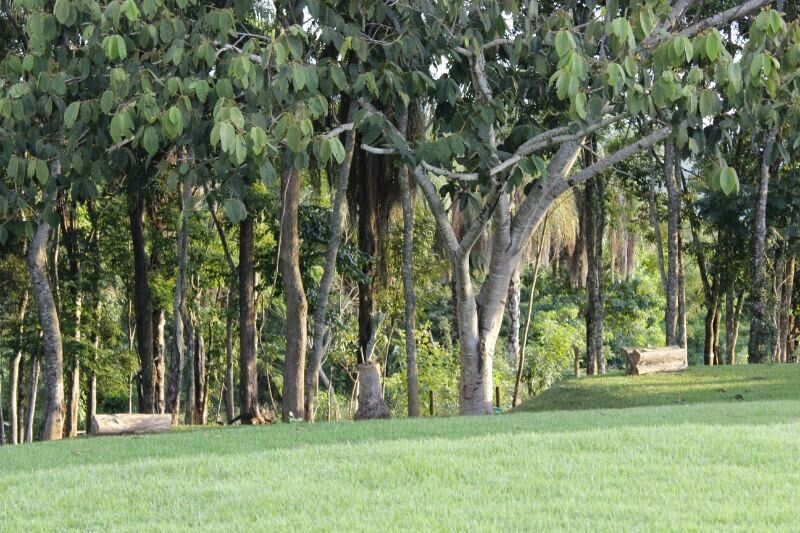 Casa, 4 quartos, 582 m² - Foto 13