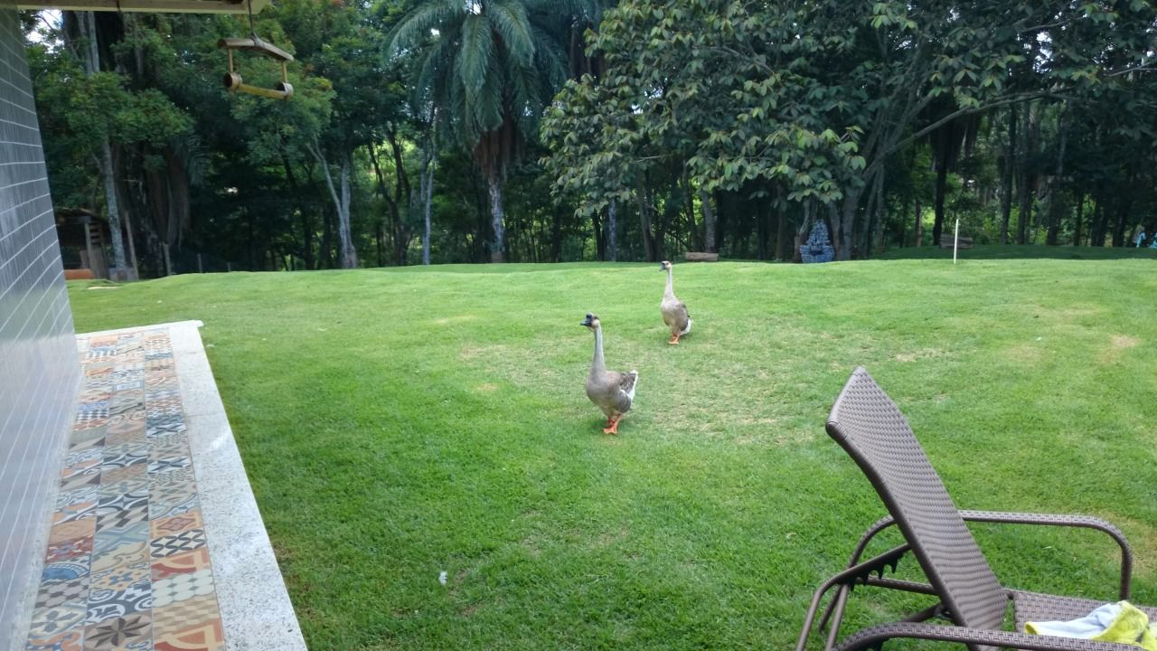 Casa, 4 quartos, 582 m² - Foto 14