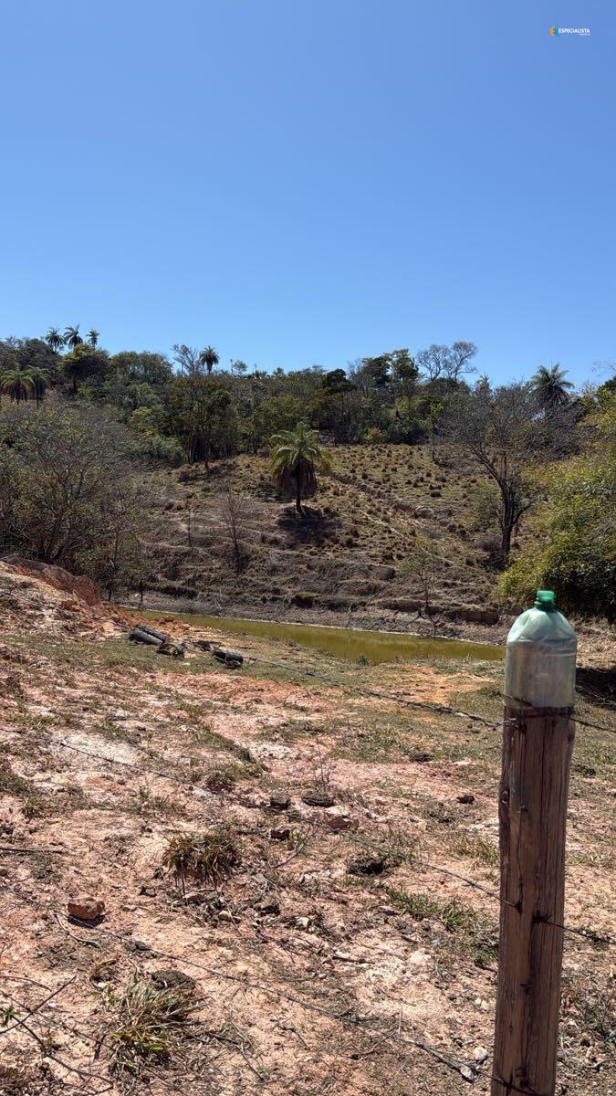 Terreno, 8000 m² - Foto 1