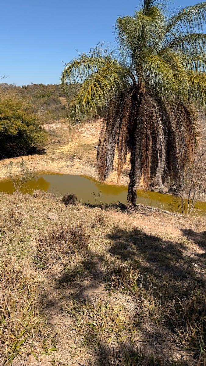 Terreno, 8000 m² - Foto 3