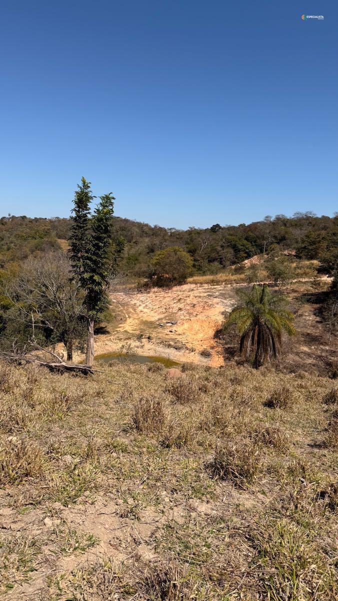 Terreno, 8000 m² - Foto 4