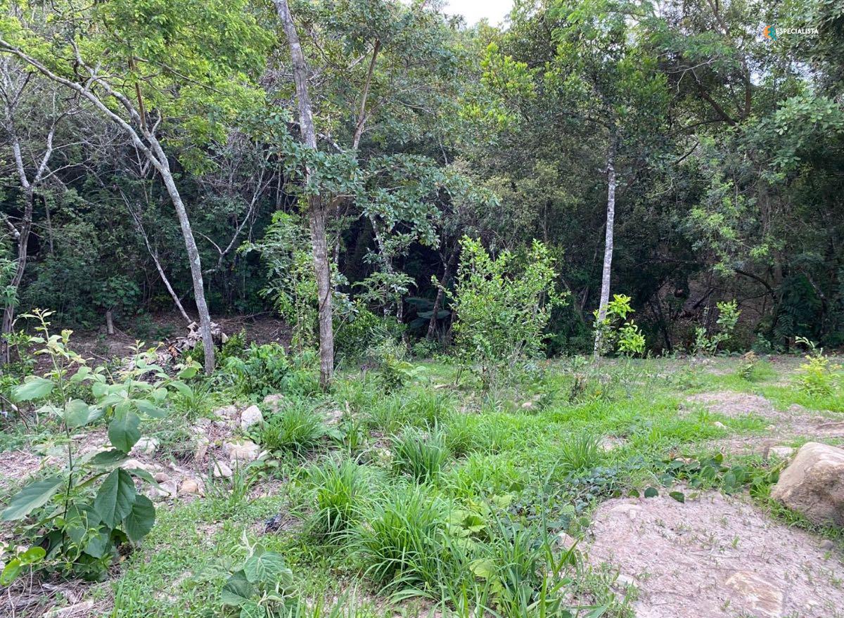 Terreno, 2500 m² - Foto 7