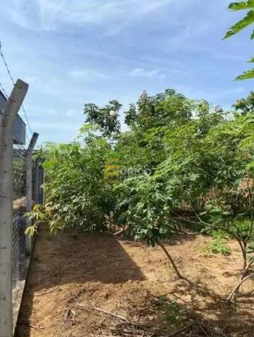 Terreno à venda no Vila do Ipê em Itupeva/SP: 