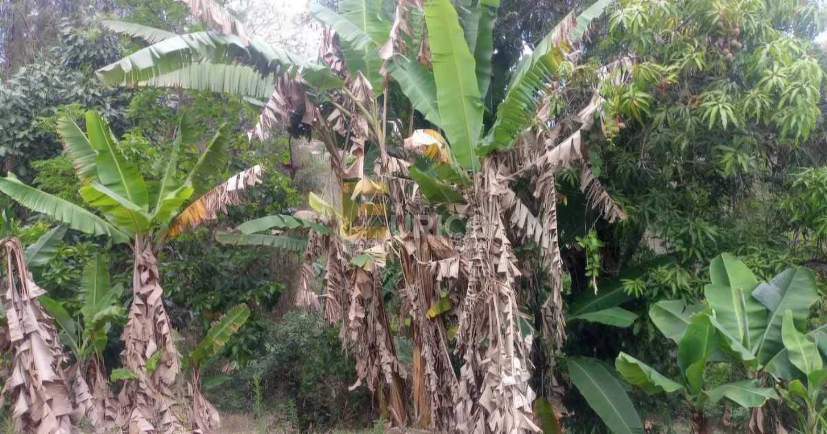 Chácara à venda no Recanto da Prata em Jundiaí/SP: 