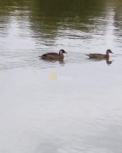 Terreno em Condomínio à venda no Condominio Reserva da Serra em Jundiaí/SP: 