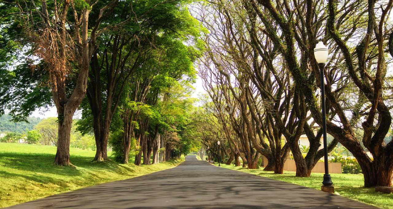 Terreno em Condomínio à venda no Condomínio Fazenda Serra Azul I em Itupeva/SP: 