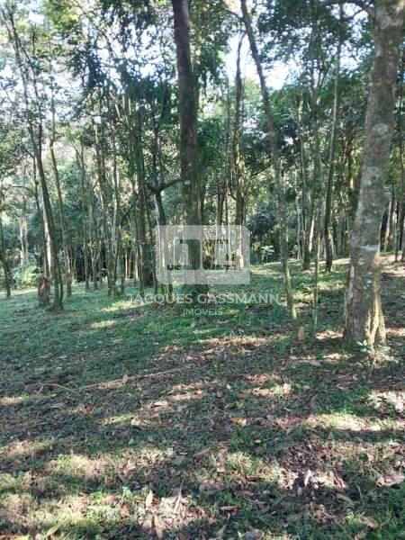 Terreno Dos Finco São Bernardo do Campo 