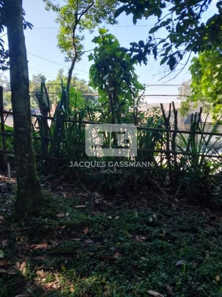 Terreno Dos Finco São Bernardo do Campo 