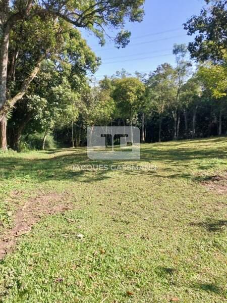 Terreno Dos Finco São Bernardo do Campo 