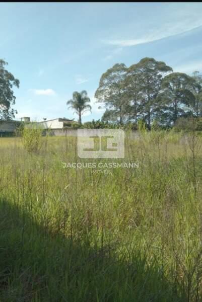 Terreno Dos Casa São Bernardo do Campo 