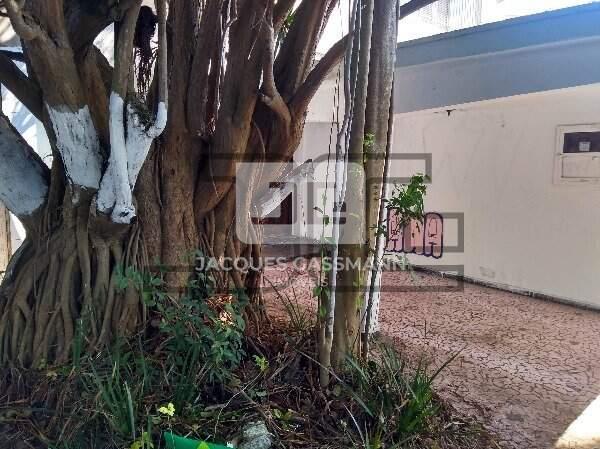 Sobrado Boa Vista São Caetano do Sul 