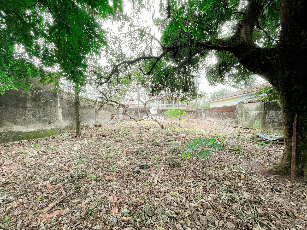 Terreno à venda no Vila Couto: 