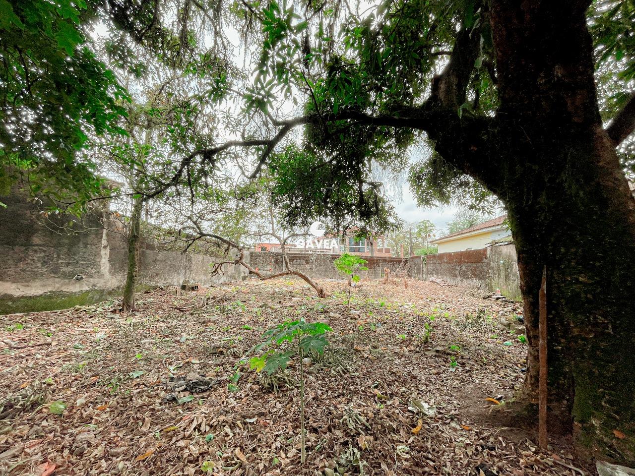 Terreno à venda no Vila Couto: 