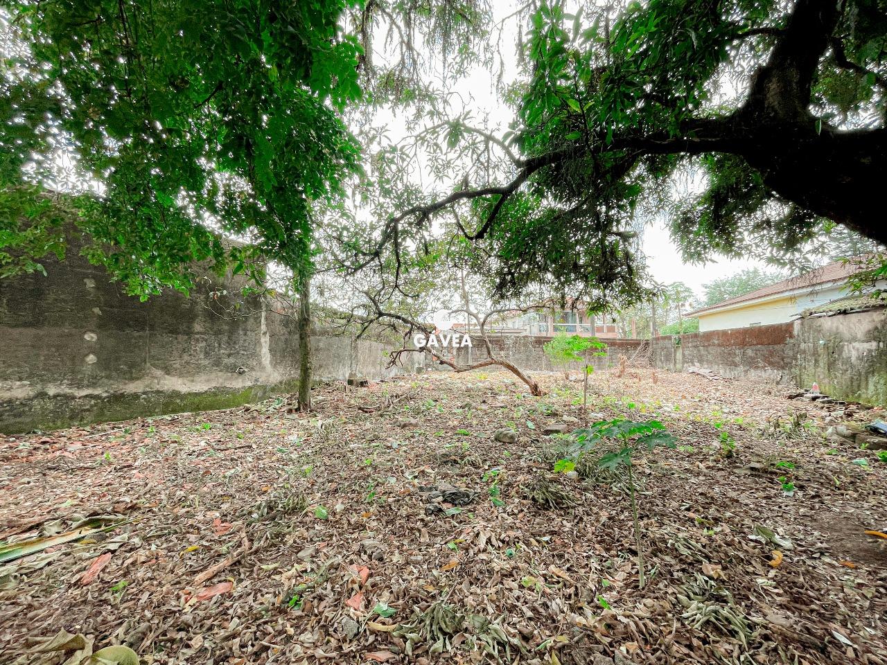 Terreno à venda no Vila Couto: 