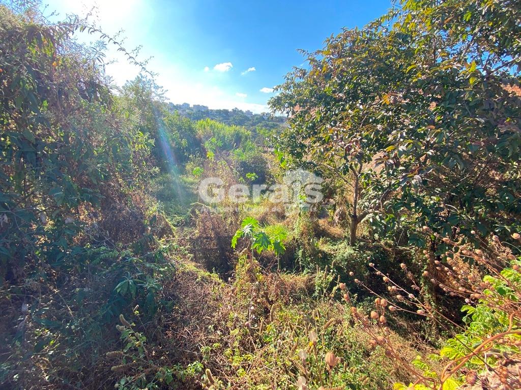 Lote à venda no BELVEDERE: 04 - LOTE FUNDO 