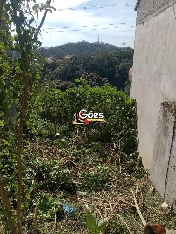 Terreno à venda em Centro Alto: 