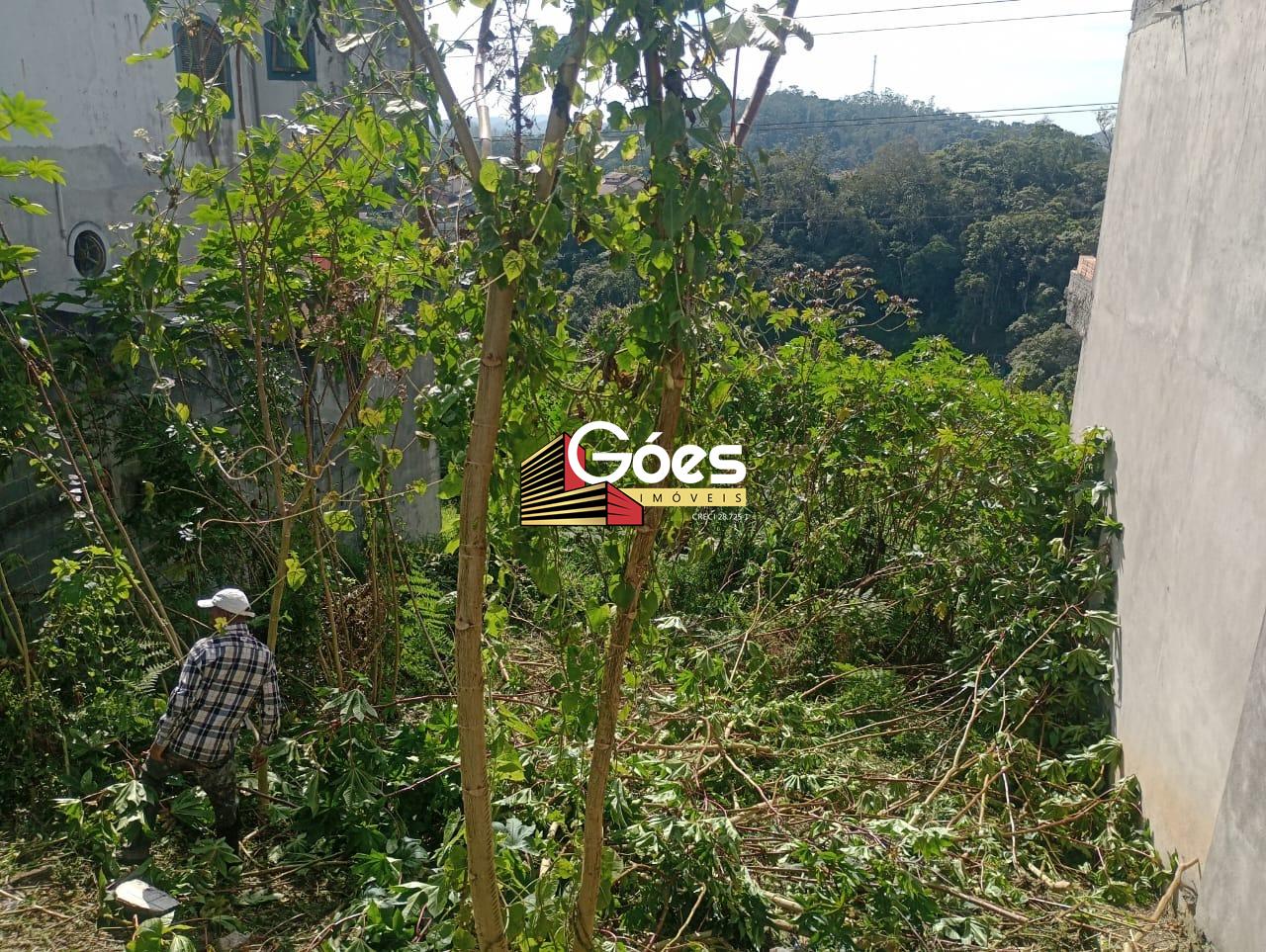 Terreno à venda em Centro Alto: 