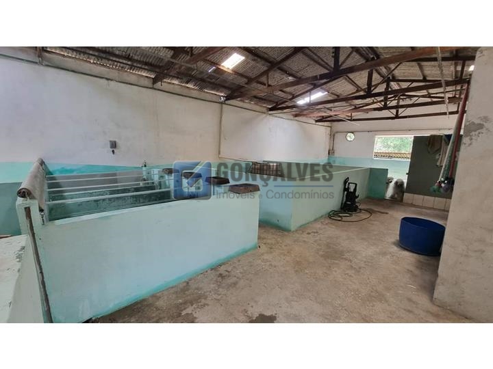 5565, Galpão, à venda, à venda, 1.000.000,00,Batistini, São Bernardo do Campo,: A (50)