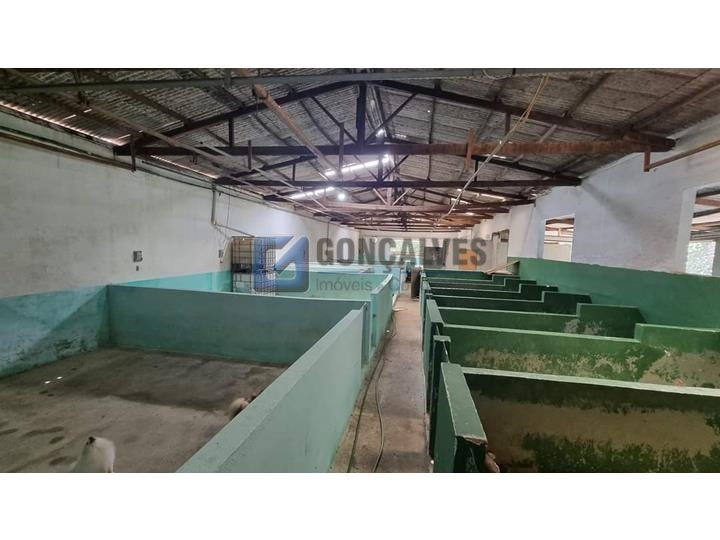 5565, Galpão, à venda, à venda, 1.000.000,00,Batistini, São Bernardo do Campo,: A (52)