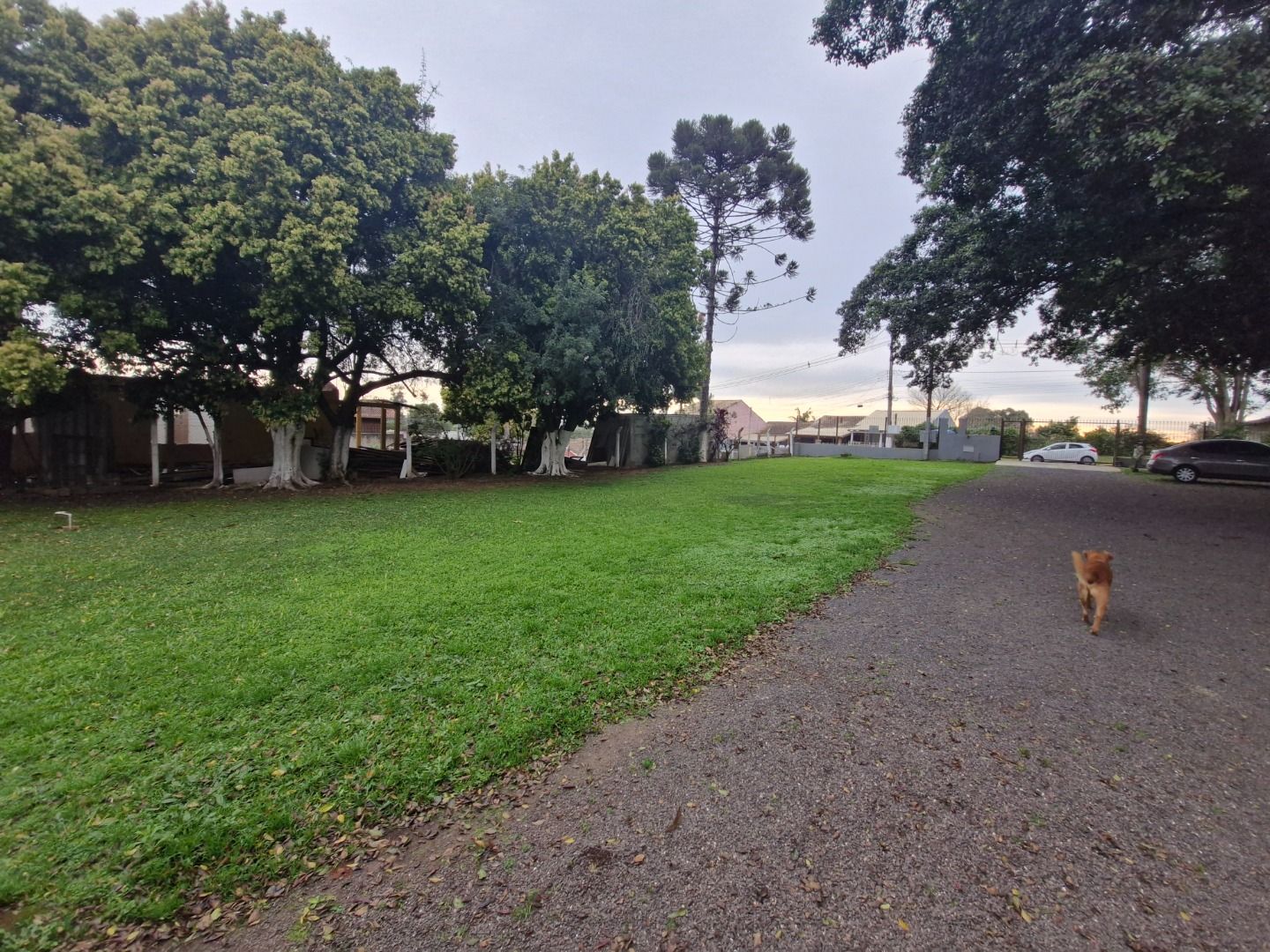 Casa com 2 quartos para aluguel, 100m² - São Luiz - Gravataí: 