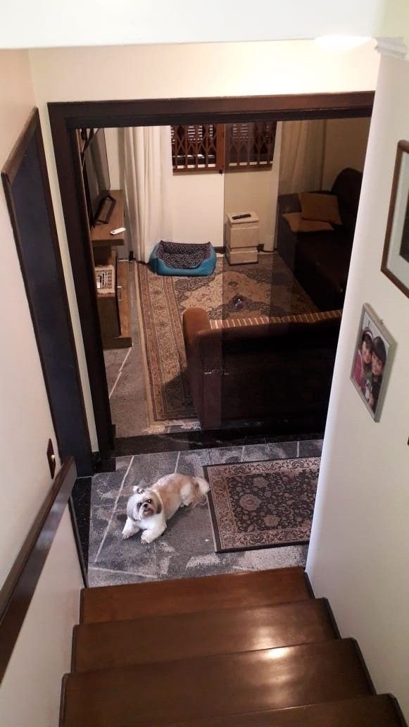 Casa com 3 quartos para aluguel, 263m² - Centro - Eldorado do Sul: 