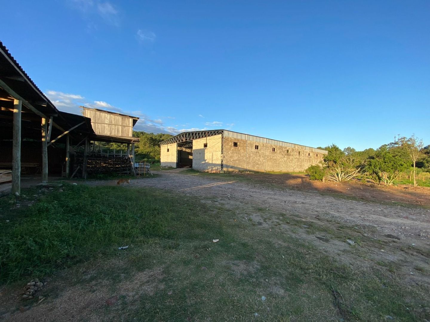 Pavilhão/Galpão/Depósito/Armazém com para aluguel, 1.250m² - Lageado - Porto Alegre: 