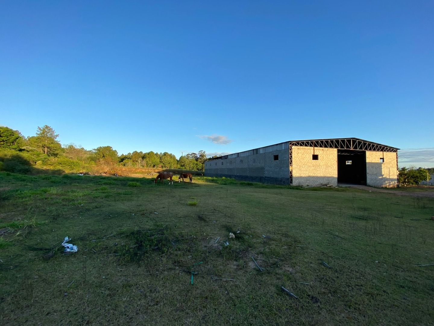 Pavilhão/Galpão/Depósito/Armazém com para aluguel, 1.250m² - Lageado - Porto Alegre: 