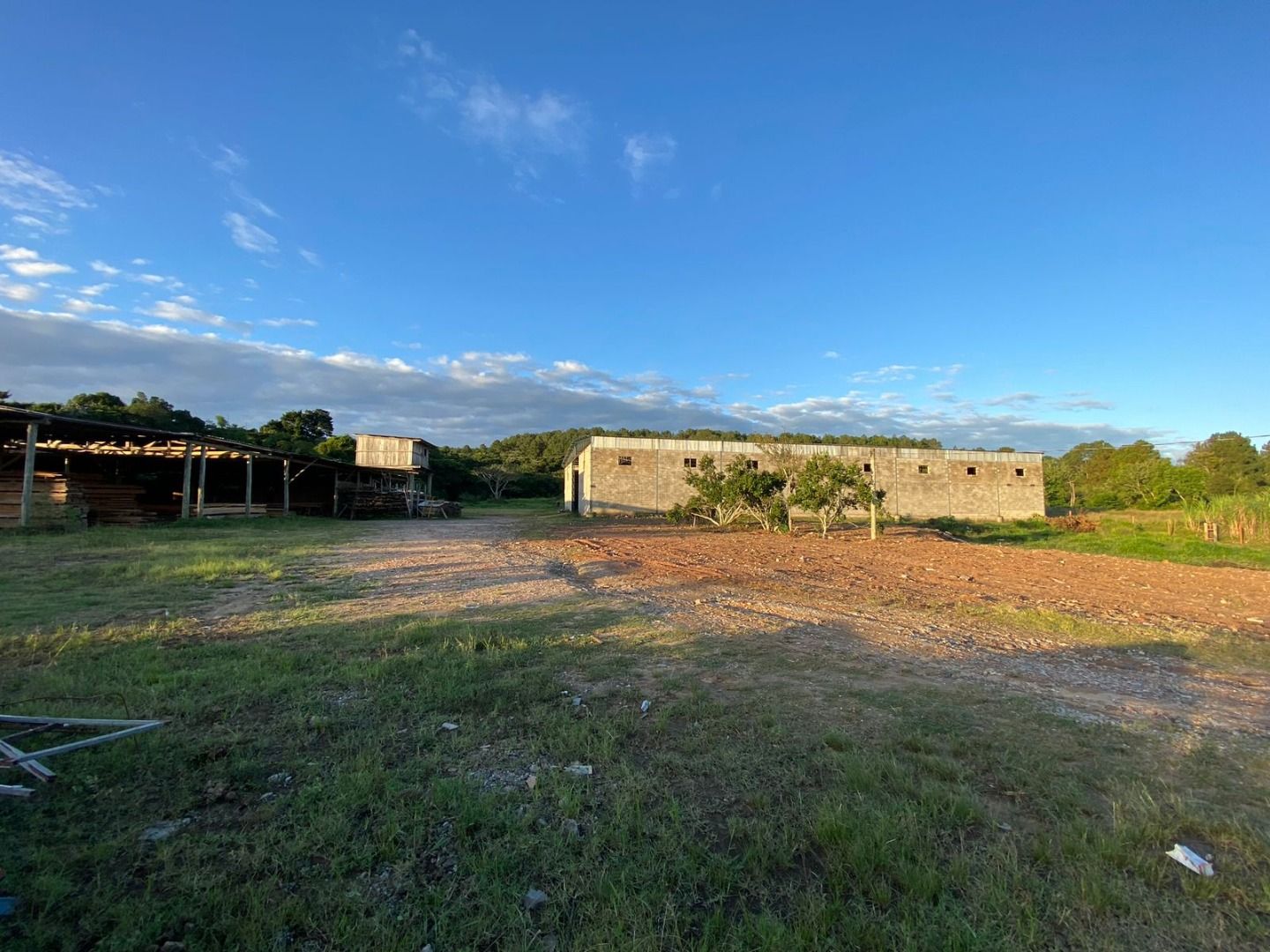 Pavilhão/Galpão/Depósito/Armazém com para aluguel, 1.250m² - Lageado - Porto Alegre: 