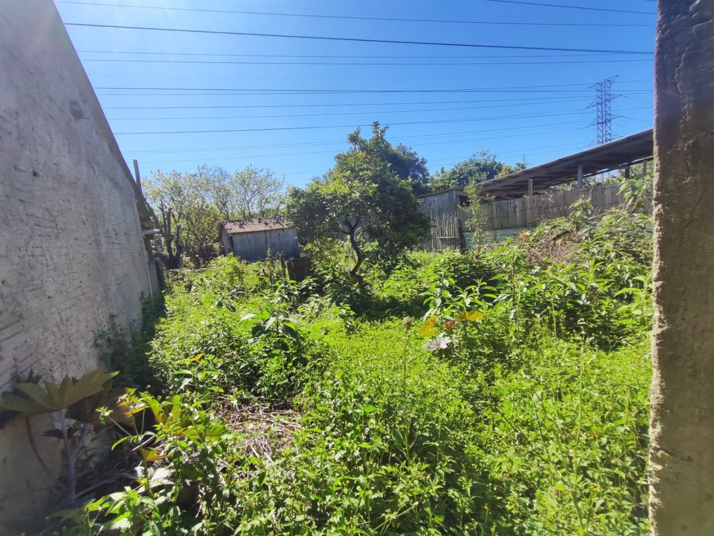 Terreno/Lote com para aluguel, 0m² - Parque Granja Esperança - Cachoeirinha: 