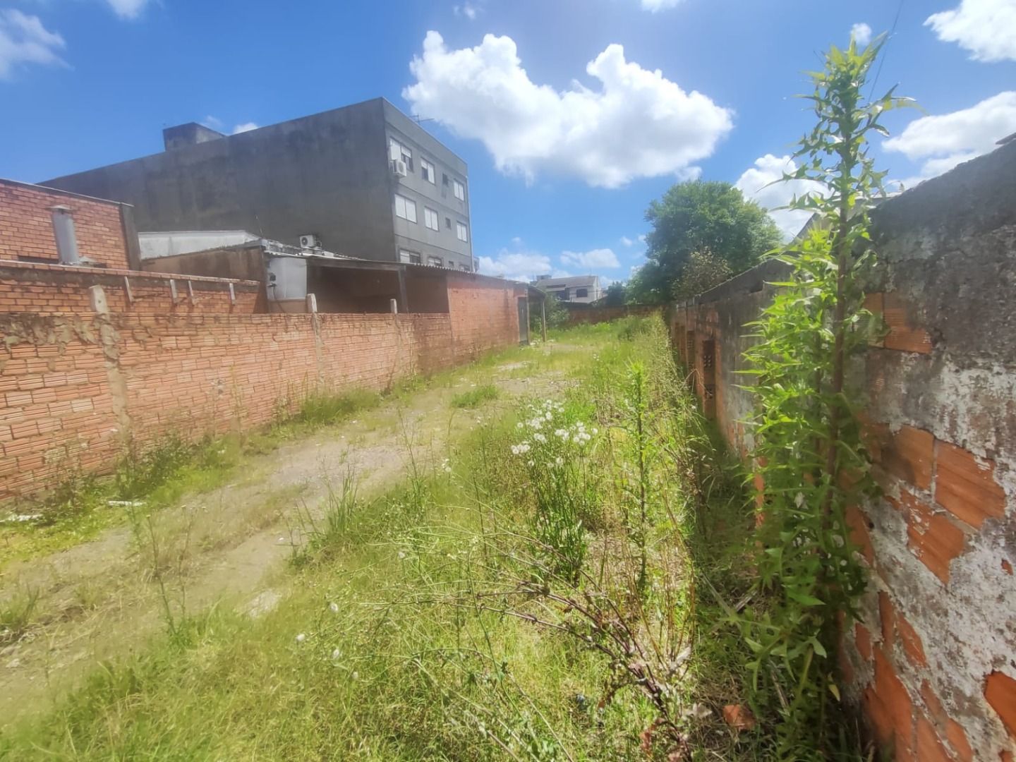 Terreno/Lote com para aluguel, 0m² - Caça e Pesca - Gravataí: 
