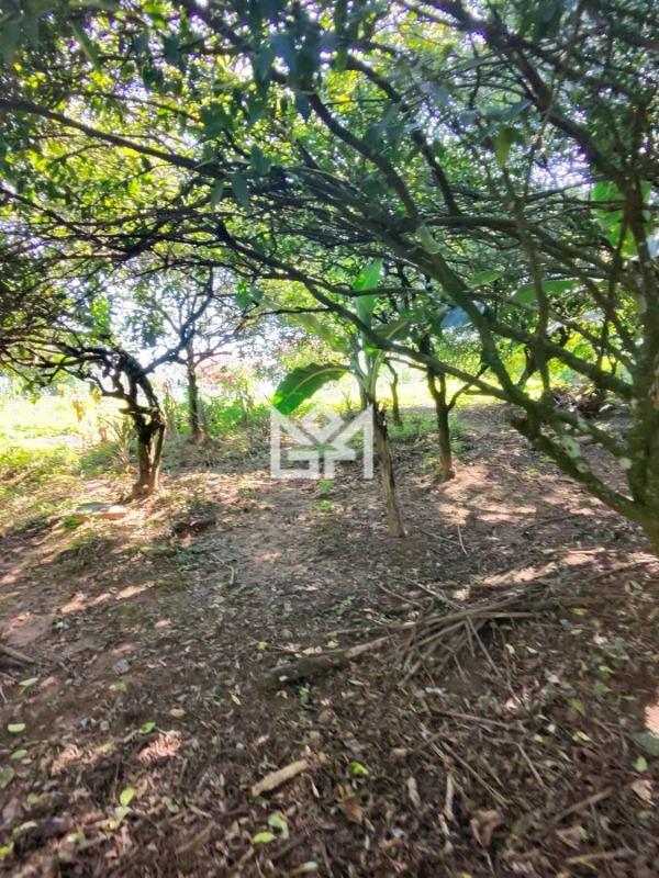 Chácara/Sítio/Fazenda com 1 quarto à venda, 2.500m² - Cadiz - Gravataí: 