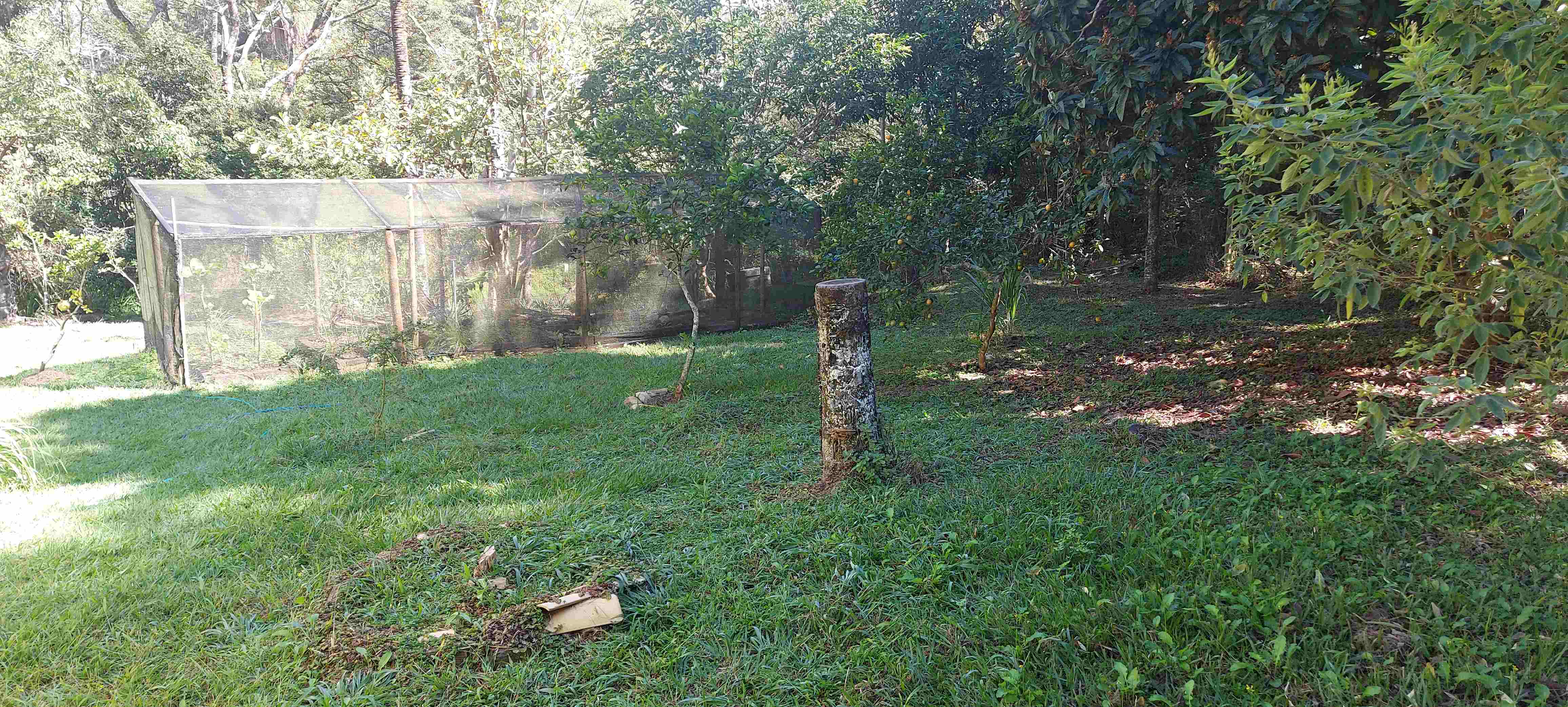 Chácara, 3 quartos, 6800 m² - Foto 7