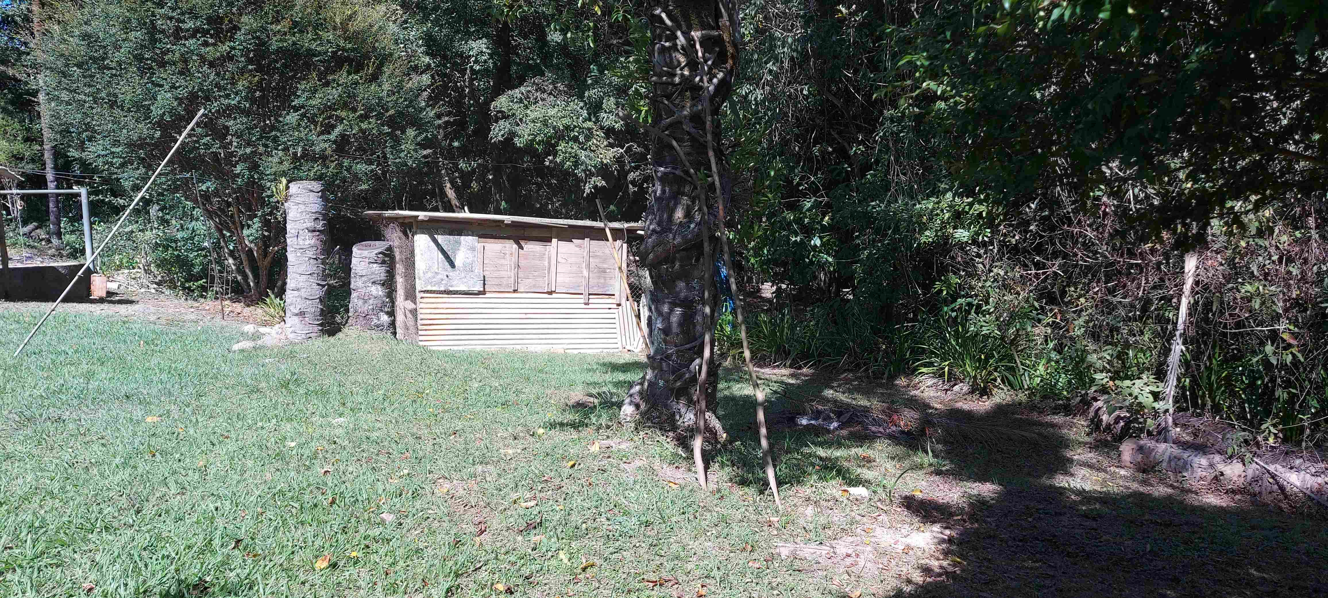 Chácara, 3 quartos, 6800 m² - Foto 5