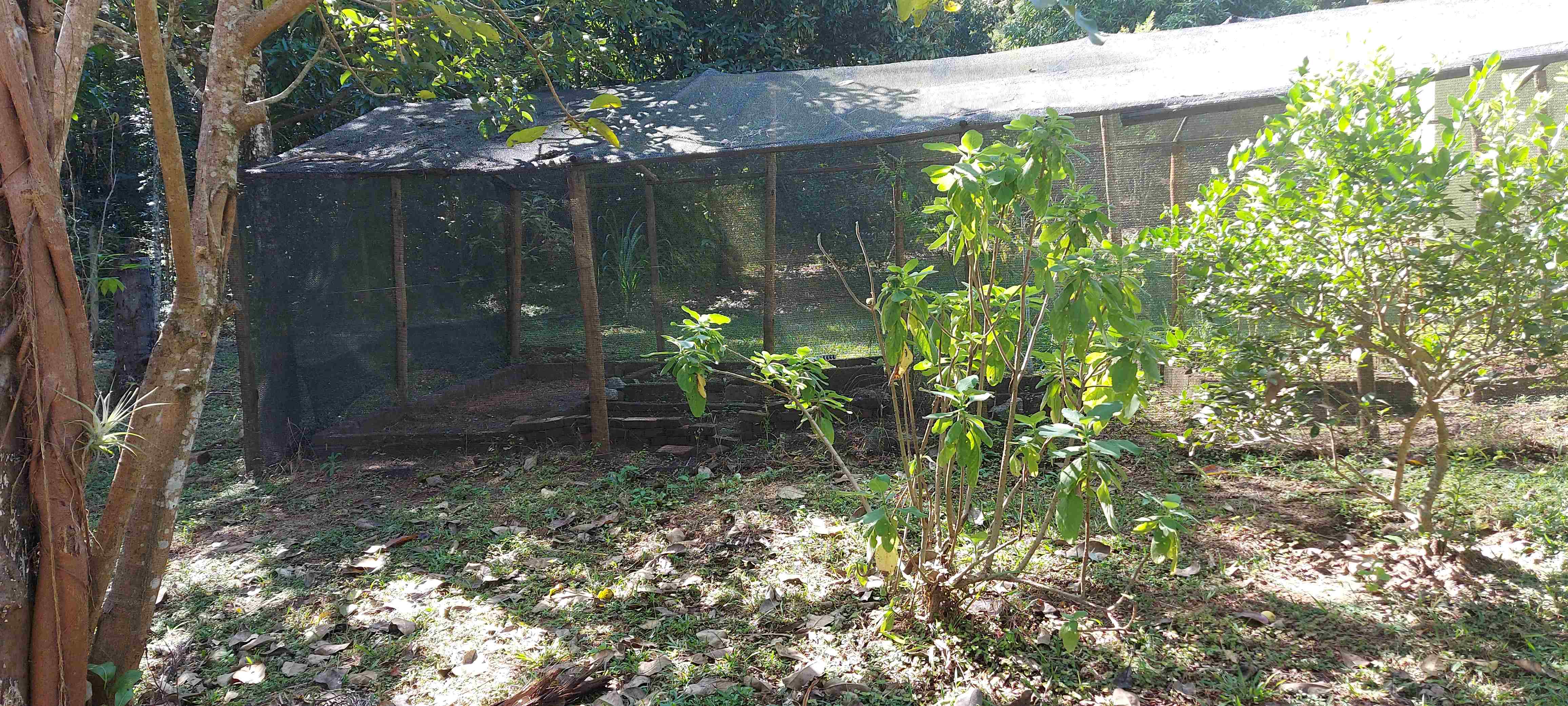 Chácara, 3 quartos, 6800 m² - Foto 4