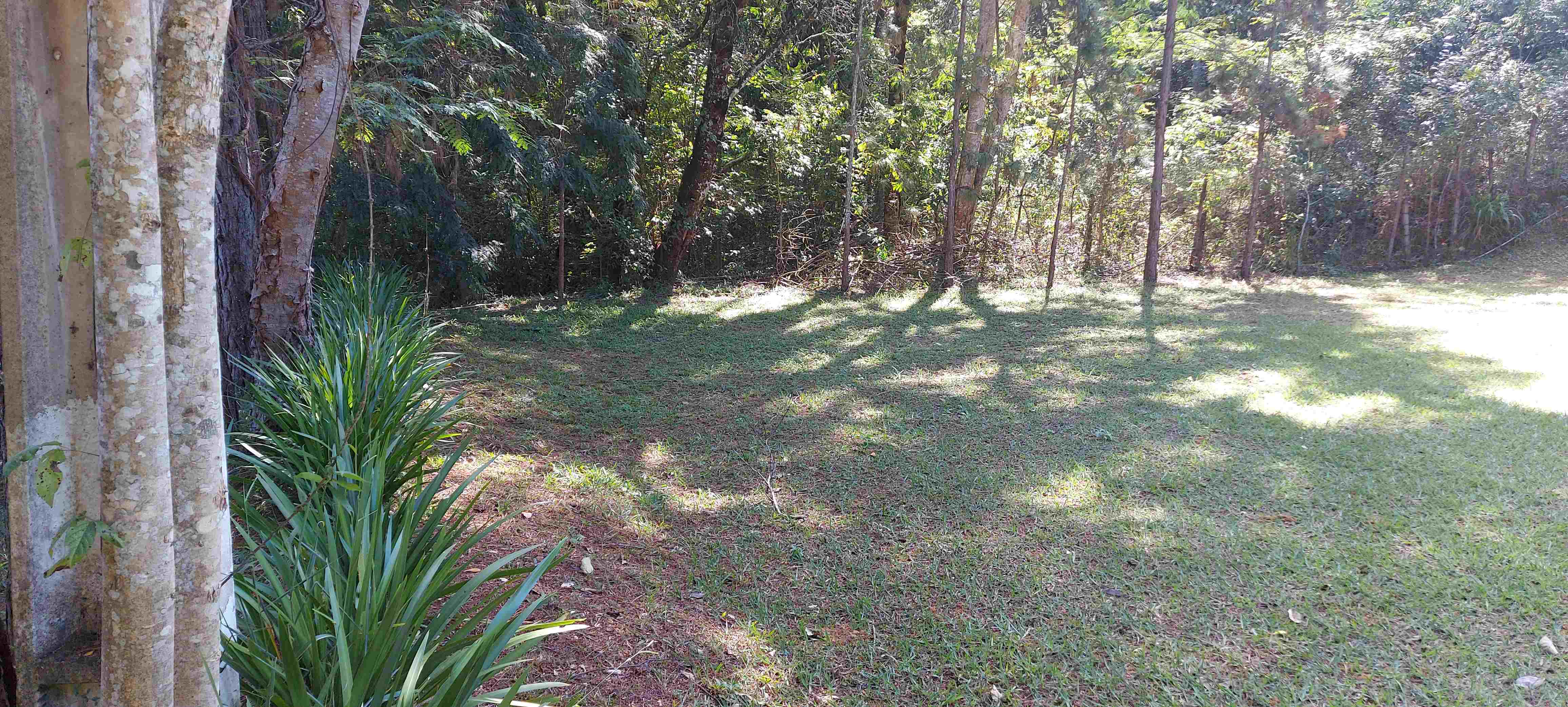 Chácara, 3 quartos, 6800 m² - Foto 14