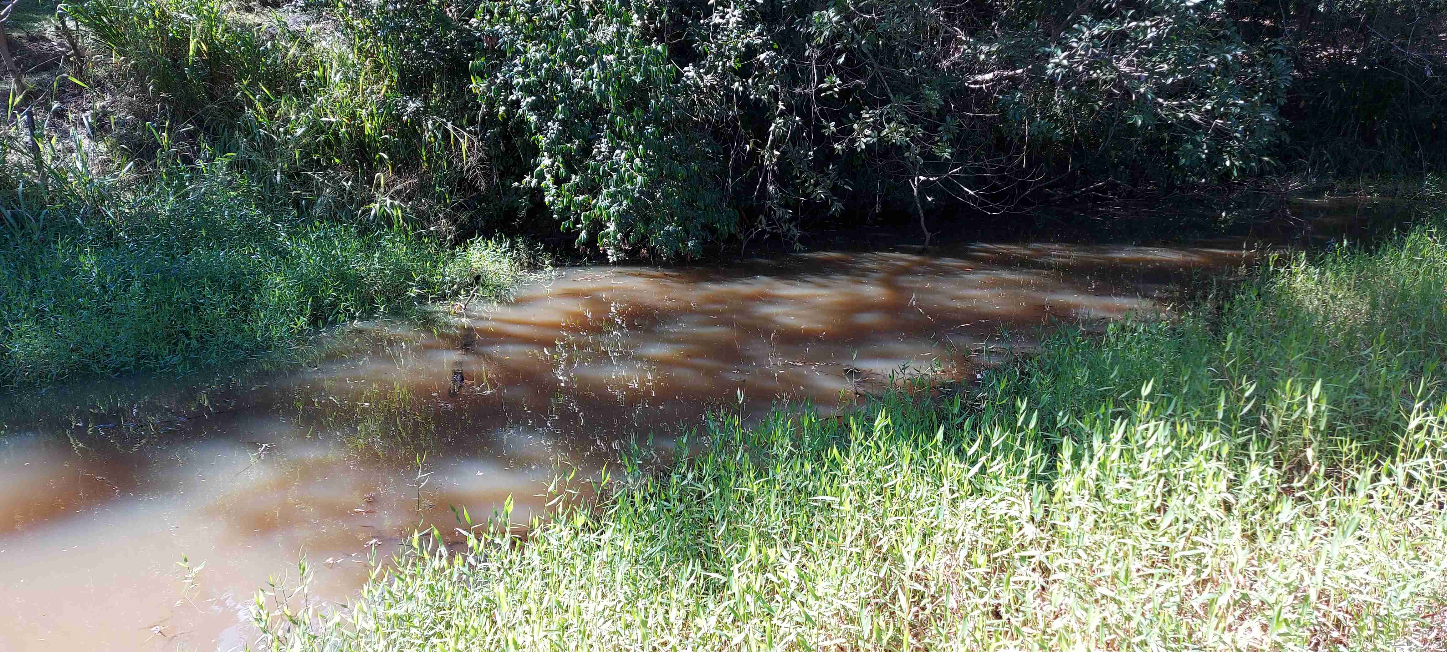 Chácara, 3 quartos, 6800 m² - Foto 23