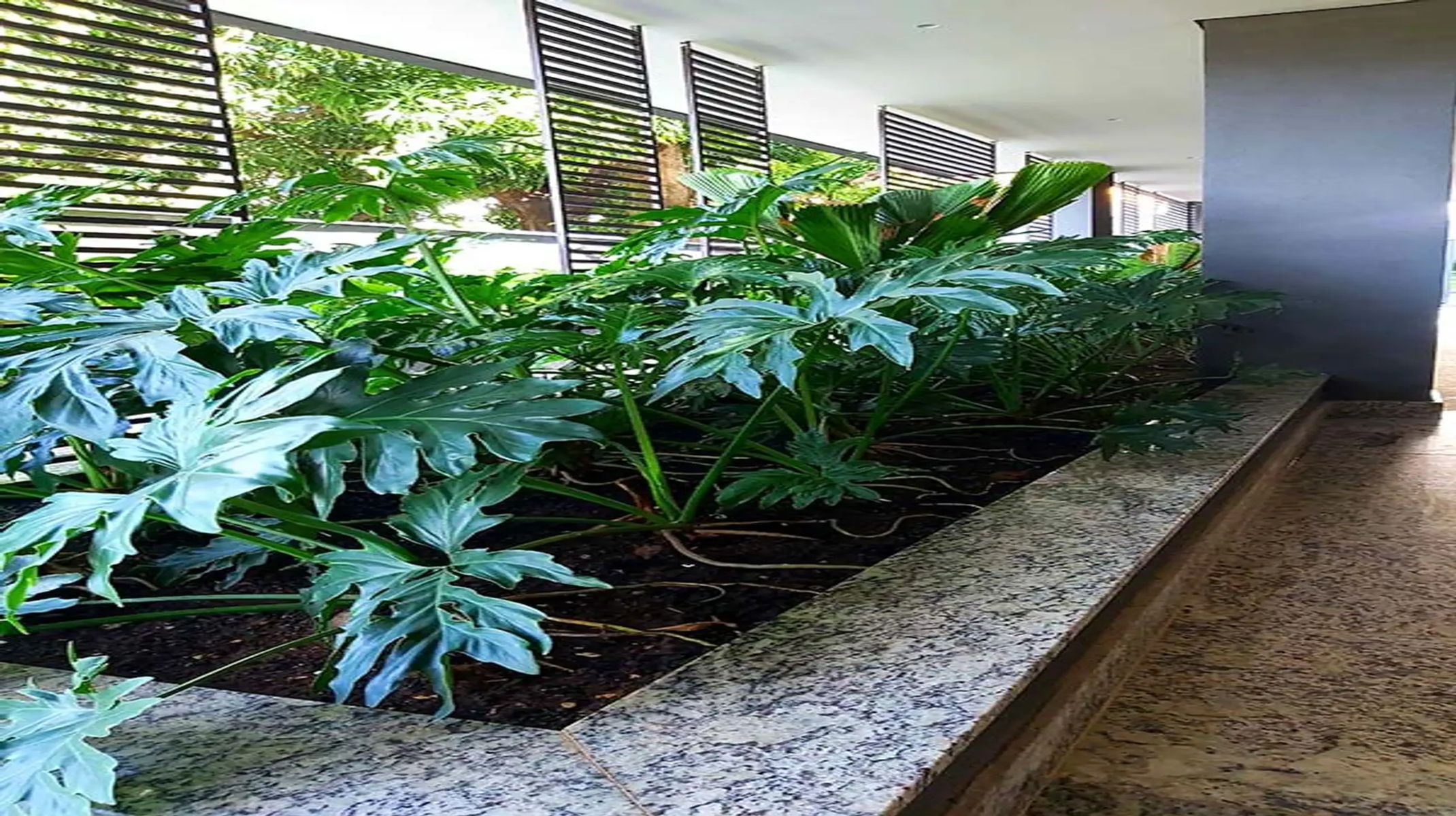 Cobertura, 3 quartos, 135 m² - Foto 6