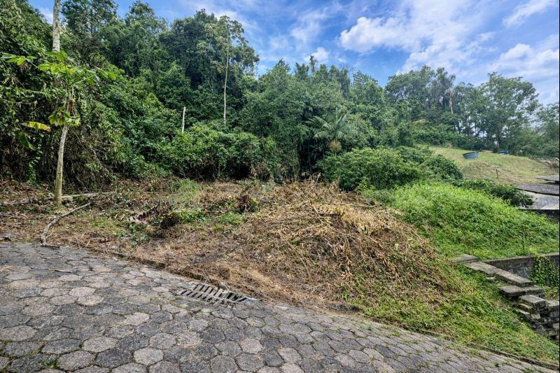 Terreno à venda no Velha Central: 