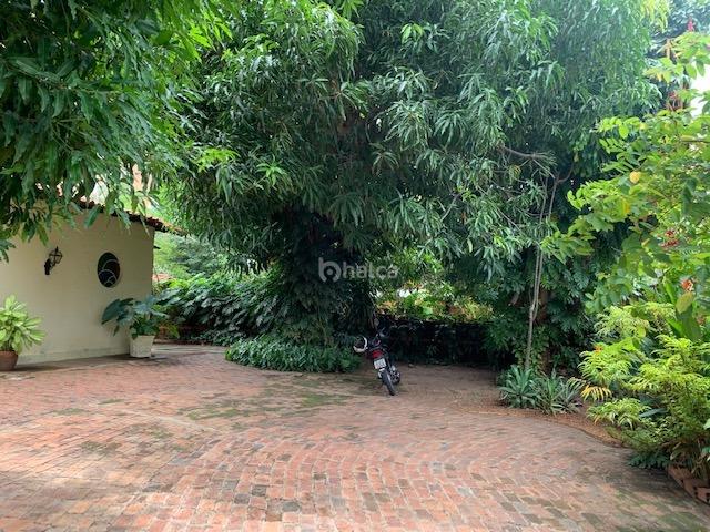 Casa Comercial para aluguel no Joquei: 