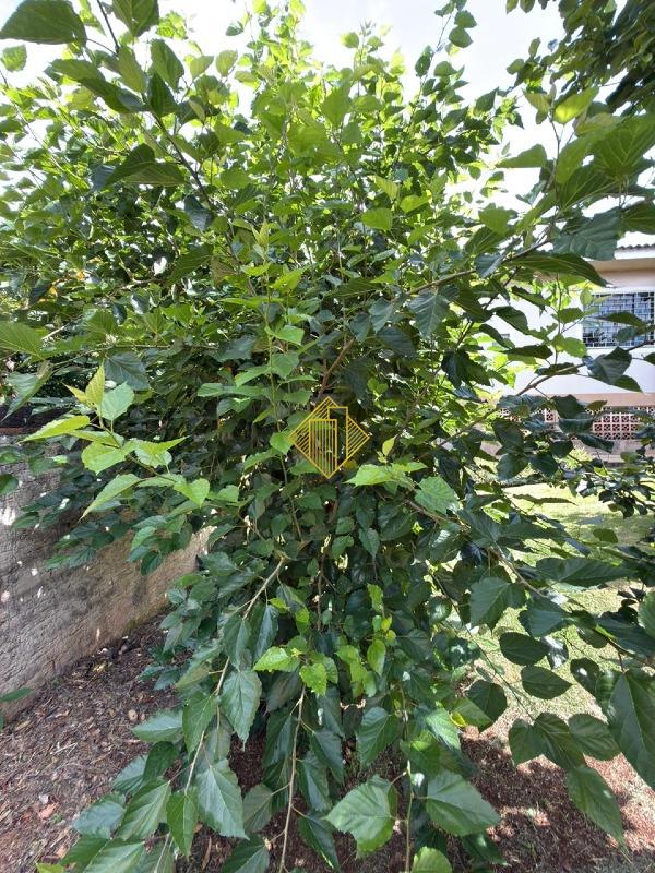 Casa à venda no Claudete: 